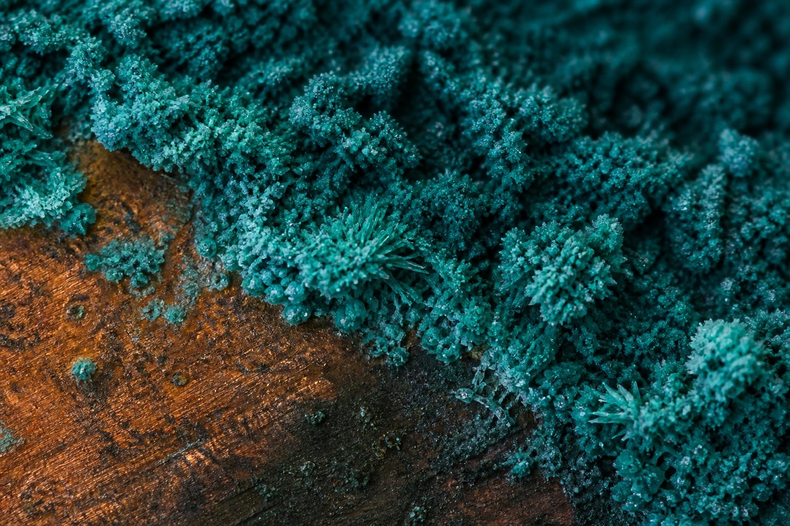 Copper surface oxidising to teal, contact between material and conditions recorded as colour